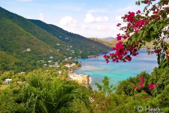 BVI