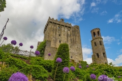 Castle-Blarney-3