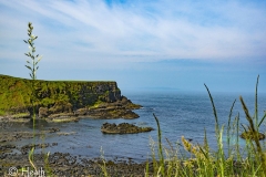 Giants-Causeway-Northern-Irelend