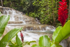 Jamaica-dunns-river-falls