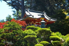 Japanese Tea Garden