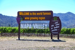 Napa-Valley