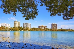 Sarasota Bay