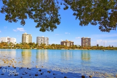 Sarasota Bay