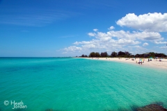 Venice-Florida-North-Jetty