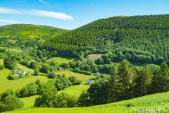 Wales-Country-Side