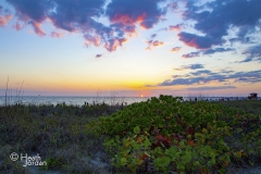 Lido beach sunset