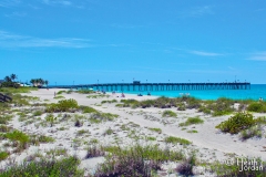 venice-fishing-pier